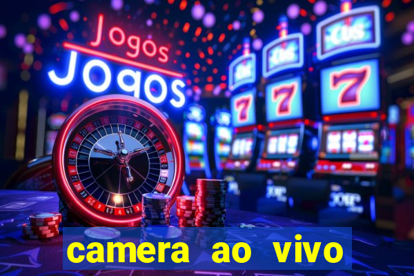 camera ao vivo terminal vila nova cachoeirinha